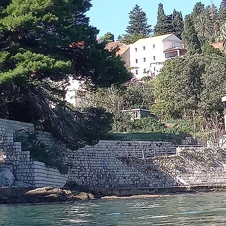Villa Sea Dream Kolocep Gornje Celo エクステリア 写真