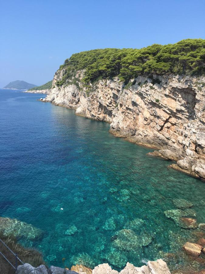 Villa Sea Dream Kolocep Gornje Celo エクステリア 写真