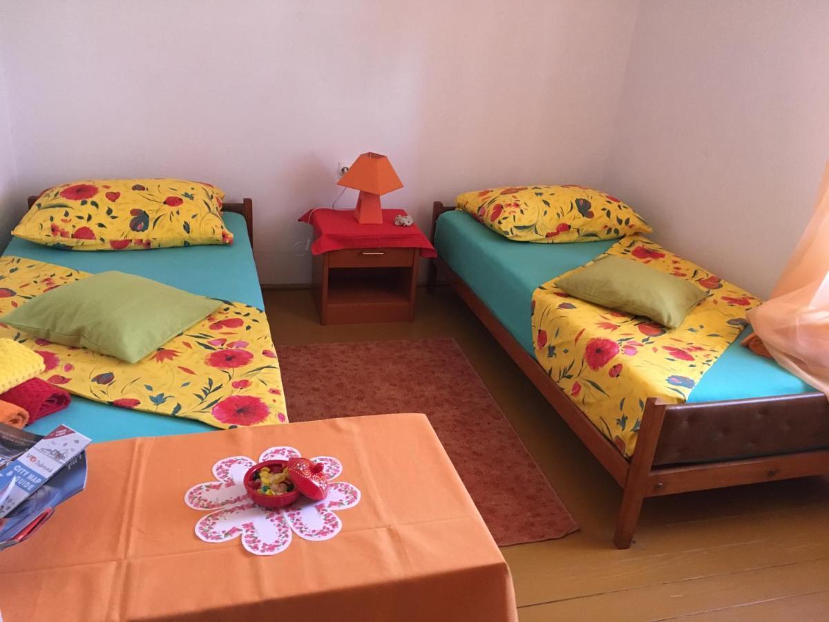 Villa Sea Dream Kolocep Gornje Celo エクステリア 写真