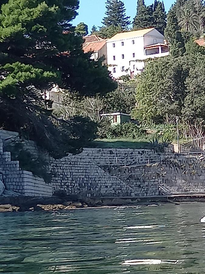 Villa Sea Dream Kolocep Gornje Celo エクステリア 写真
